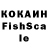 ГАШ Premium kuo chang