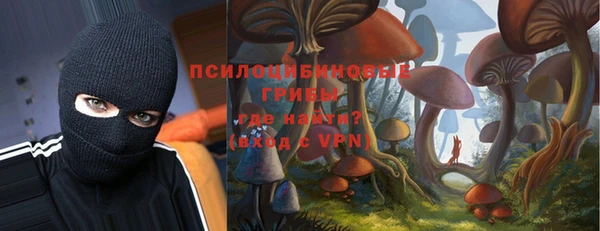 спайс Киреевск
