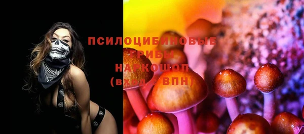 2c-b Кинешма