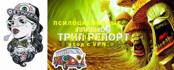 спайс Киреевск
